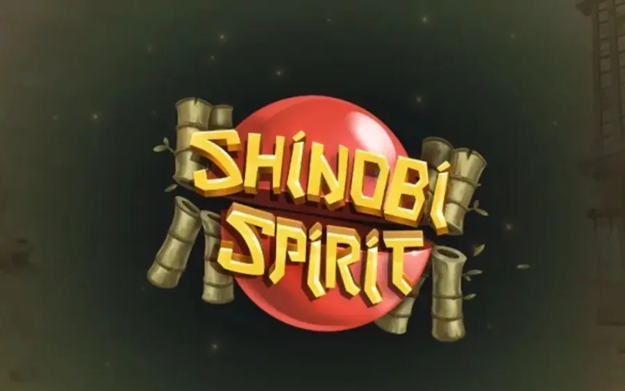 Shinobi Spirit